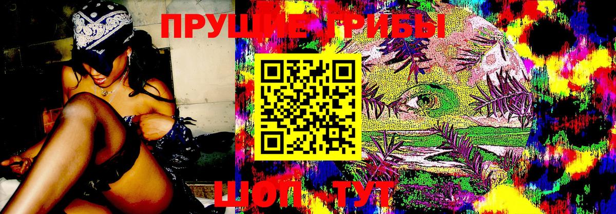 Галлюциногенные грибы Psilocybe  Псилоцибиновые грибы GOLDEN TEACHER  Иваново  Вход с VPN 
